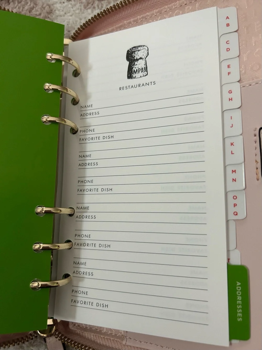 kate spade Wellesley Light Pink Zip personal size planner with Gold detail.